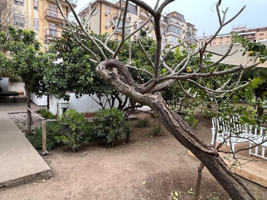 Casetta Bianca Palermo Bagian luar foto